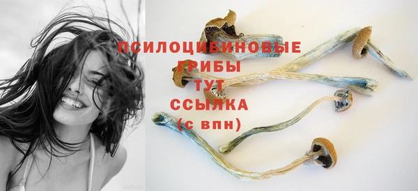 ECSTASY Алзамай