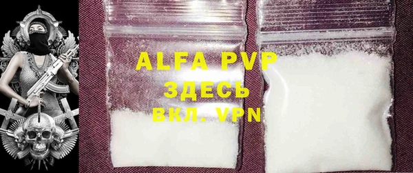 ECSTASY Алзамай