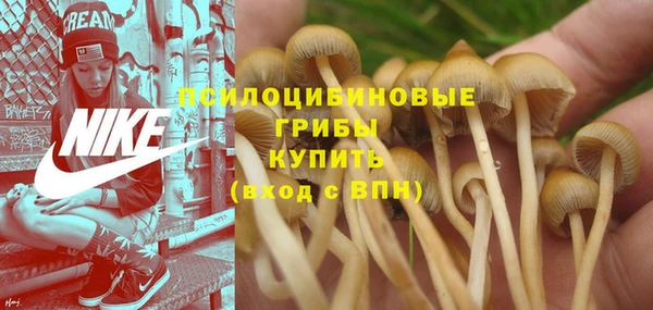 ECSTASY Алексеевка