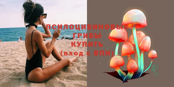 ECSTASY Алзамай