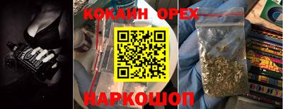 индика Брянск