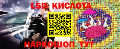 стаф Боровичи