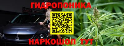 стаф Боровичи