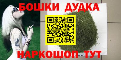 стаф Боровичи