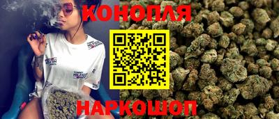 индика Брянск