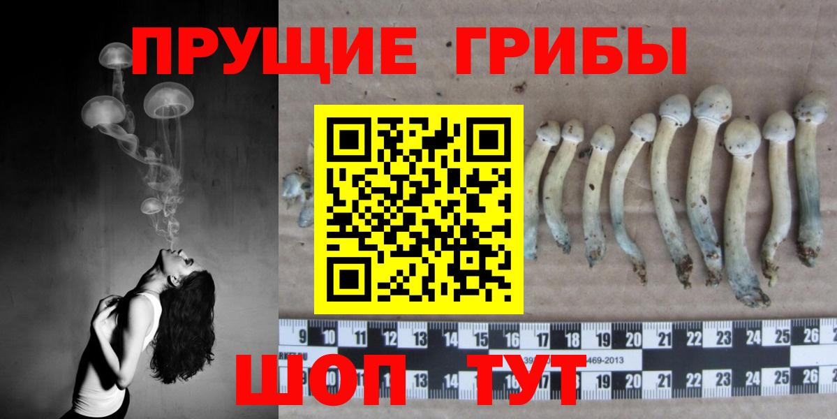 Галлюциногенные грибы Magic Shrooms Брянск