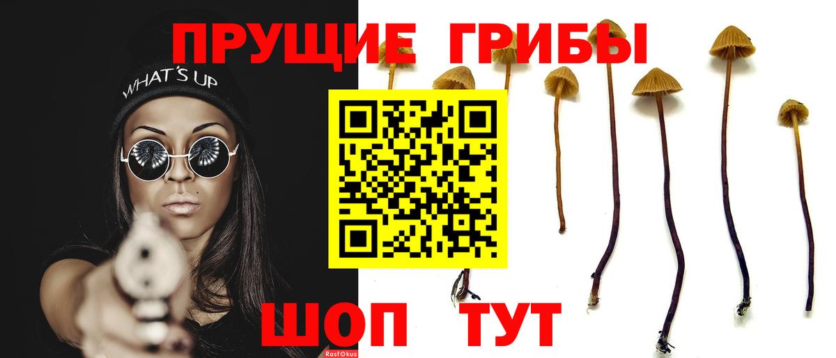 Псилоцибиновые грибы Cubensis  сколько стоит  Брянск  Вход с VPN 
